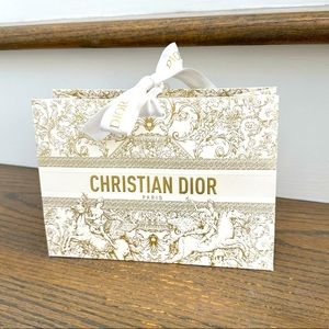 Small Dior shopping bag